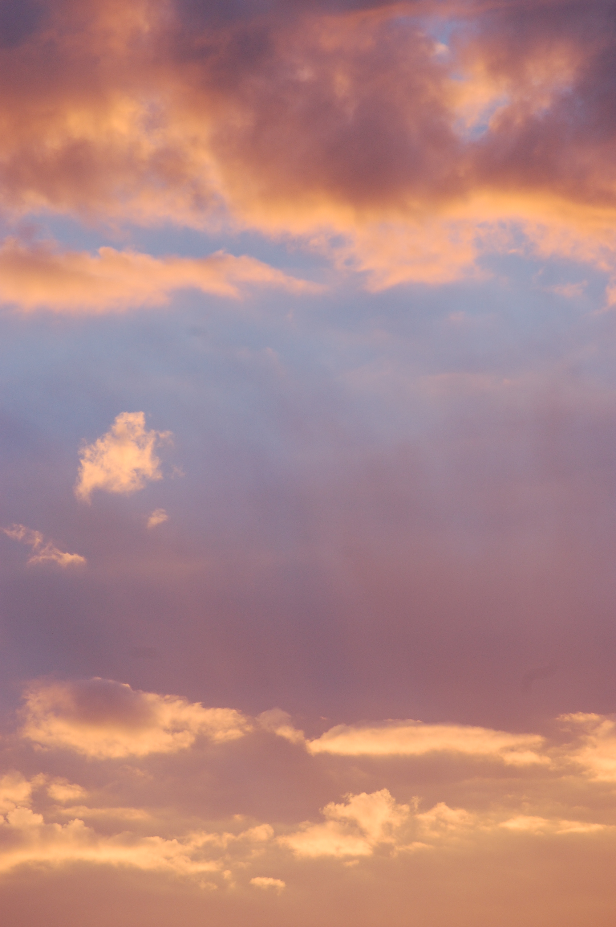 AVG releases cloud-based security to partners