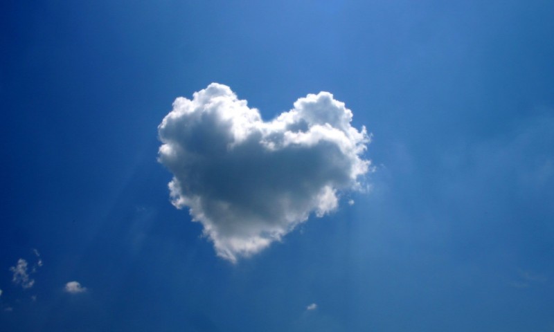 Citrix Urges Channel Partners To Walk In The Cloud